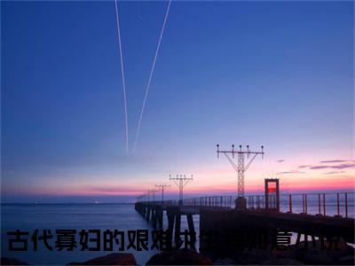 古代寡妇的艰难求生程如意小说（古代寡妇的艰难求生程如意）全文免费阅读_古代寡妇的艰难求生程如意小说最新章节列表笔趣阁小说