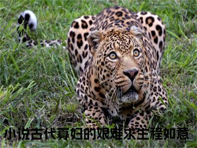 古代寡妇的艰难求生程如意(古代寡妇的艰难求生程如意)全文免费读无弹窗大结局_古代寡妇的艰难求生程如意免费小说无弹窗最新章节列表_笔趣阁