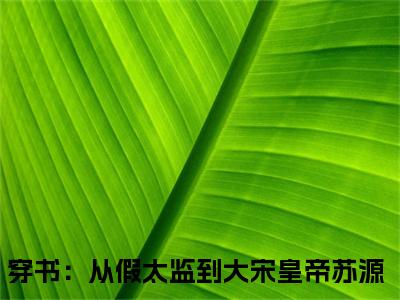 穿书：从假太监到大宋皇帝苏源（穿书：从假太监到大宋皇帝苏源）全文免费阅读无弹窗大结局_（穿书：从假太监到大宋皇帝苏源全文免费阅读无弹窗）最新章节列表_笔趣阁