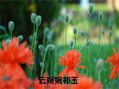 云婉婉祁玉（云婉婉祁玉）小说全文免费阅读正版无弹窗 云婉婉祁玉全文无弹窗阅读