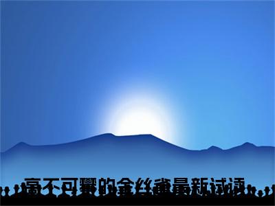 高不可攀的金丝雀高赞小说（沈年雀雀）完结阅读_沈年雀雀免费看全文