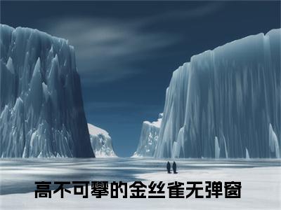沈年王翠花（高不可攀的金丝雀）全文免费阅读无弹窗大结局_沈年王翠花最新章节列表笔趣阁
