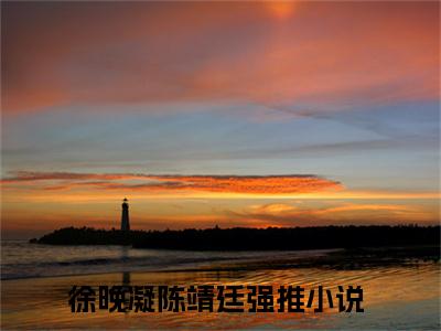 徐晚凝陈靖廷小说免费阅读-热点小说榜单推荐徐晚凝陈靖廷