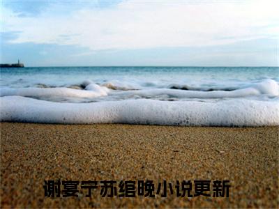 丫头别逃了！教授他超爱（谢宴宁苏绾晚）小说全文免费阅读-丫头别逃了！教授他超爱免费阅读完整版