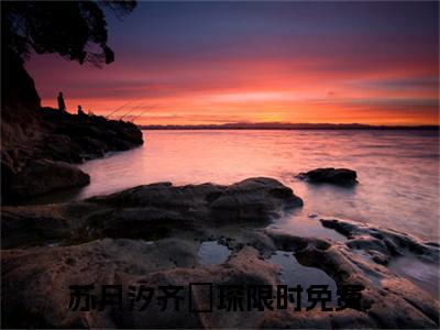 苏月汐齐璟琛在线阅读全文免费阅读无弹窗大结局_苏月汐齐璟琛最新章节列表_笔趣阁