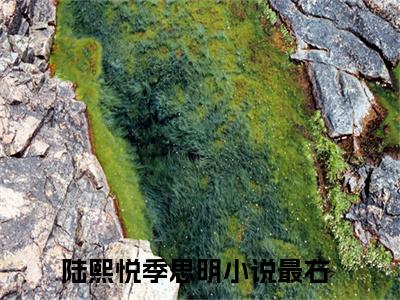 陆熙悦季思明在线阅读（陆熙悦季思明小说）全文免费阅读无弹窗大结局_陆熙悦季思明免费最新章节列表_笔趣阁（陆熙悦季思明小说）