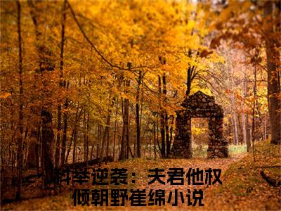 科举逆袭：夫君他权倾朝野崔绵精选小说大结局阅读-新上热文小说（科举逆袭：夫君他权倾朝野崔绵）讲的是什么