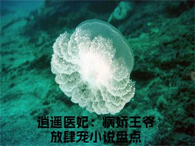 逍遥医妃：病娇王爷放肆宠（苏念音陆峻宸）小说全文大结局-（苏念音陆峻宸）全章节完整版在线阅读