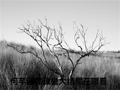 何芊遥霍瑾誉全文免费阅读-闪婚密爱：大叔的小作精野翻了小说（何芊遥霍瑾誉）免费阅读全文