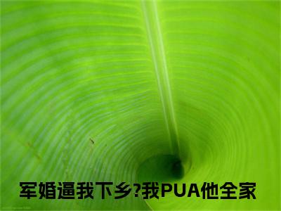 方盈林鸣小说（军婚逼我下乡?我PUA他全家）小说全文免费军婚逼我下乡?我PUA他全家读无弹窗大结局笔趣阁（方盈林鸣）