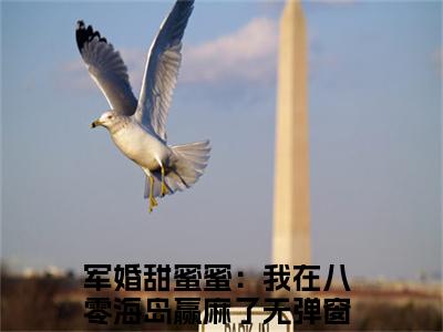 叶婉婉陆尧（军婚甜蜜蜜：我在八零海岛赢麻了）全文免费阅读无弹窗大结局_叶婉婉陆尧免费阅读全文大结局