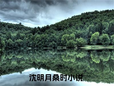 主角是桑总夜敲门，沈秘书孤枕难眠的小说叫什么名字沈明月桑时精彩结局阅读