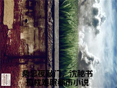 （沈明月桑时）桑总夜敲门，沈秘书孤枕难眠小说推荐阅读-主角为桑总夜敲门，沈秘书孤枕难眠的小说叫什么沈明月桑时
