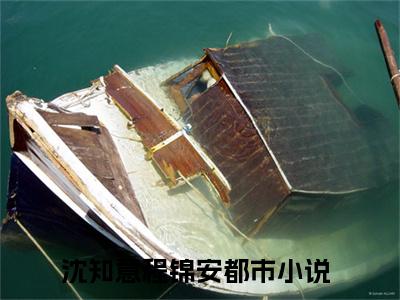 沈知意程锦安（沈知意程锦安）免费小说-沈知意程锦安小说完整版阅读