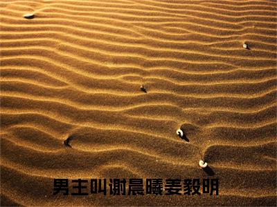 小说完整版谢晨曦姜毅明大结局-谢晨曦姜毅明是什么书《谢晨曦姜毅明》