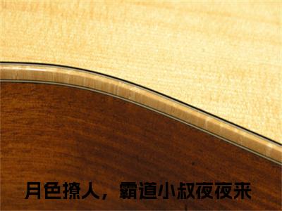 商酌言萧染月色撩人，霸道小叔夜夜来全文免费阅读_商酌言萧染无弹窗最新章节