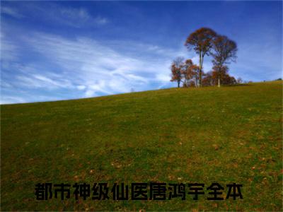 都市神级仙医唐鸿宇（都市神级仙医唐鸿宇）全文免费阅读无弹窗大结局_（都市神级仙医唐鸿宇）都市神级仙医唐鸿宇最新章节列表_笔趣阁（都市神级仙医唐鸿宇）