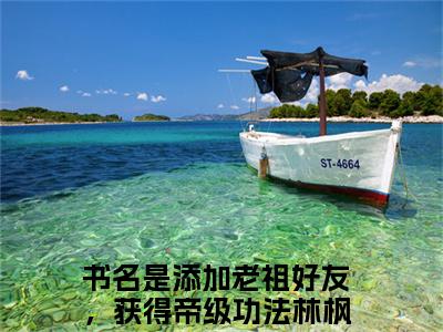 添加老祖好友，获得帝级功法林枫小说(添加老祖好友，获得帝级功法林枫)小说全文免费阅读_（添加老祖好友，获得帝级功法林枫）添加老祖好友，获得帝级功法林枫最新章节列表