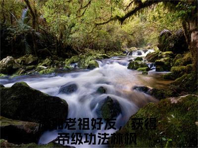 添加老祖好友，获得帝级功法林枫（添加老祖好友，获得帝级功法林枫）全文免费阅读无弹窗大结局_（添加老祖好友，获得帝级功法林枫）免费阅读无弹窗最新章节列表