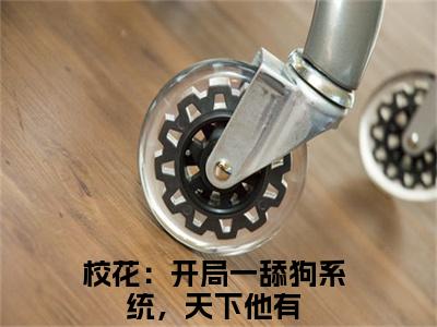 张凡李长风小说全文免费阅读无弹窗，（校花：开局一舔狗系统，天下他有）小说全文免费阅读