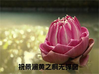 穿越：我在相公铺子里当伙计小说（祝景澜黄之桐）小说全文免费祝景澜黄之桐读无弹窗大结局笔趣阁（穿越：我在相公铺子里当伙计）