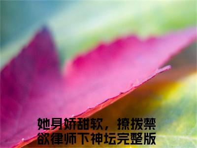 她身娇甜软，撩拨禁欲律师下神坛（赫泓峥苏茗薇）全文免费阅读无弹窗大结局_（赫泓峥苏茗薇）的小说（她身娇甜软，撩拨禁欲律师下神坛）最新章节列表