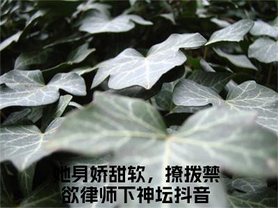 赫泓峥苏茗薇（她身娇甜软，撩拨禁欲律师下神坛）全文免费阅读无弹窗-她身娇甜软，撩拨禁欲律师下神坛小说完整版在线阅读