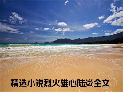 烈火雄心陆炎（烈火雄心陆炎）全文免费阅读无弹窗大结局_烈火雄心陆炎完整章节阅读