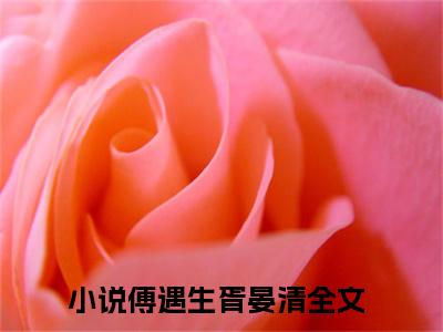 戍边军哥和他的明星小女友小说傅遇生胥晏清完整版大结局-戍边军哥和他的明星小女友小说完结版在线阅读