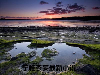 宁稚岑妄正版小说全文阅读-小说推荐宁稚岑妄精彩章节全文阅读