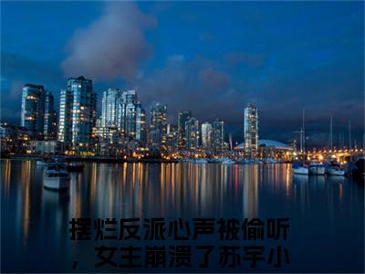 摆烂反派心声被偷听，女主崩溃了苏宇（摆烂反派心声被偷听，女主崩溃了苏宇）全文免费阅读无弹窗_摆烂反派心声被偷听，女主崩溃了苏宇最新小说_笔趣阁（摆烂反派心声被偷听，女主崩溃了苏宇）