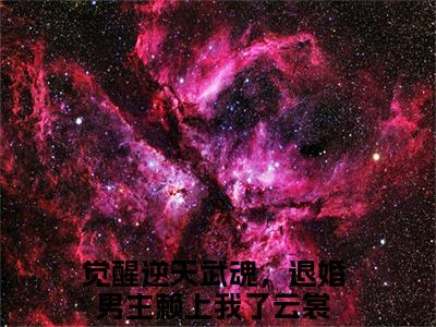 觉醒逆天武魂，退婚男主赖上我了云裳小说免费阅读觉醒逆天武魂，退婚男主赖上我了云裳小说全文免费阅读_（觉醒逆天武魂，退婚男主赖上我了云裳）觉醒逆天武魂，退婚男主赖上我了云裳最新章节列表笔趣阁