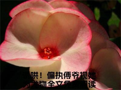 诱哄！偏执傅爷视她为尤物高赞小说（宋云熙时川）完结阅读_宋云熙时川免费看全文