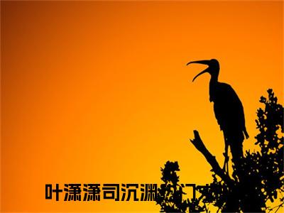 叶潇潇司沉渊《叶潇潇司沉渊小说免费阅读》完整_叶潇潇司沉渊小说（叶潇潇司沉渊）全文免费阅读大结局
