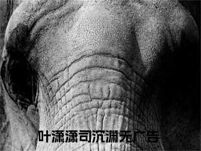 叶潇潇司沉渊（叶潇潇司沉渊小说）全文免费阅读无弹窗大结局_(叶潇潇司沉渊小说免费阅读全文大结局)最新章节列表_笔趣阁（叶潇潇司沉渊）