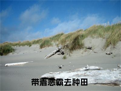 带着恶霸去种田全文（杨明皓沈新语）完整版小说阅读_杨明皓沈新语全本列表免费笔趣阁（带着恶霸去种田）