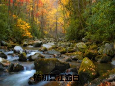 陈初夏江逾白精选言情小说- 陈初夏江逾白全文在线阅读
