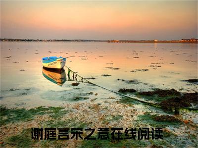 谢庭言宋之意小说免费阅读-谢庭言宋之意全文小说全章节阅读