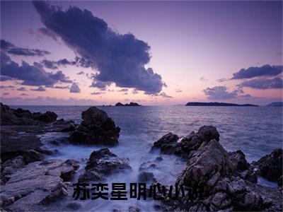 苏奕星明心小说在线阅读全文免费阅读无弹窗大结局_苏奕星明心小说免费最新章节列表_笔趣阁