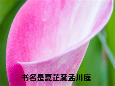 夏芷蕊孟川庭（夏芷蕊孟川庭）高质量小说免费阅读_夏芷蕊孟川庭最新章节列表_笔趣阁
