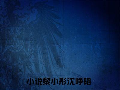 黎小彤沈峥韬(黎小彤沈峥韬)全文免费阅读无弹窗大结局_(黎小彤沈峥韬)免费阅读无弹窗最新章节列表