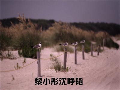 黎小彤沈峥韬精彩小说赏析全文 黎小彤沈峥韬热门小说免费阅读