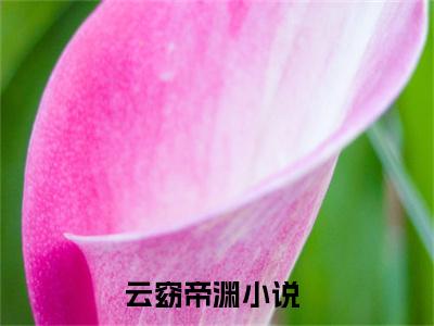 云窈帝渊最新更新热门榜单小说（云窈帝渊全集小说完整版笔趣阁）云窈帝渊全文阅读