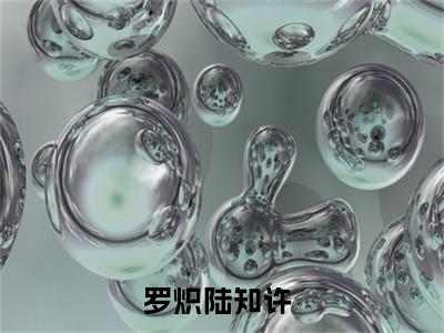 罗炽陆知许全文免费阅读-全网首发小说罗炽陆知许