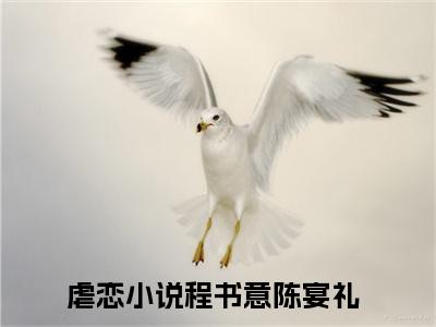 程书意陈宴礼正版小说全文阅读-小说推荐程书意陈宴礼精彩章节全文阅读