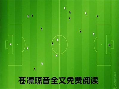 苍凛琼音的小说免费阅读（苍凛琼音的小说免费阅读）全文完整版免费阅读