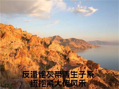 风禾全文（反派炮灰带着生子系统抱紧大佬）小说免费阅读无弹窗大结局_风禾全文无弹窗完整版阅读