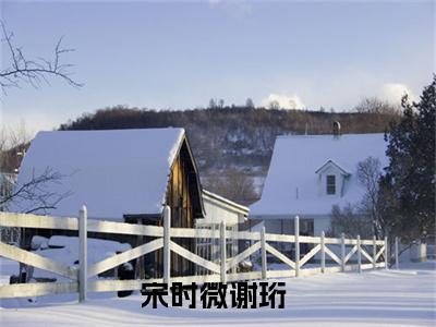（完整版）热文宋时微谢珩小说阅读-宋时微谢珩全文抖音热推