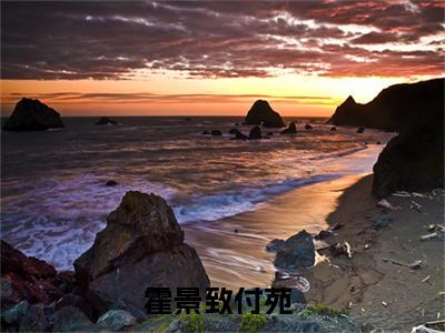 霍景致付苑（霍景致付苑）全文免费阅读无弹窗_霍景致付苑最新小说_笔趣阁（霍景致付苑）