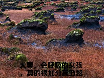 大秦，会呼吸的女孩，真的很加分全文（嬴政黎姜）全文免费阅读无弹窗大结局_大秦，会呼吸的女孩，真的很加分免费最新章节列表_笔趣阁（嬴政黎姜）